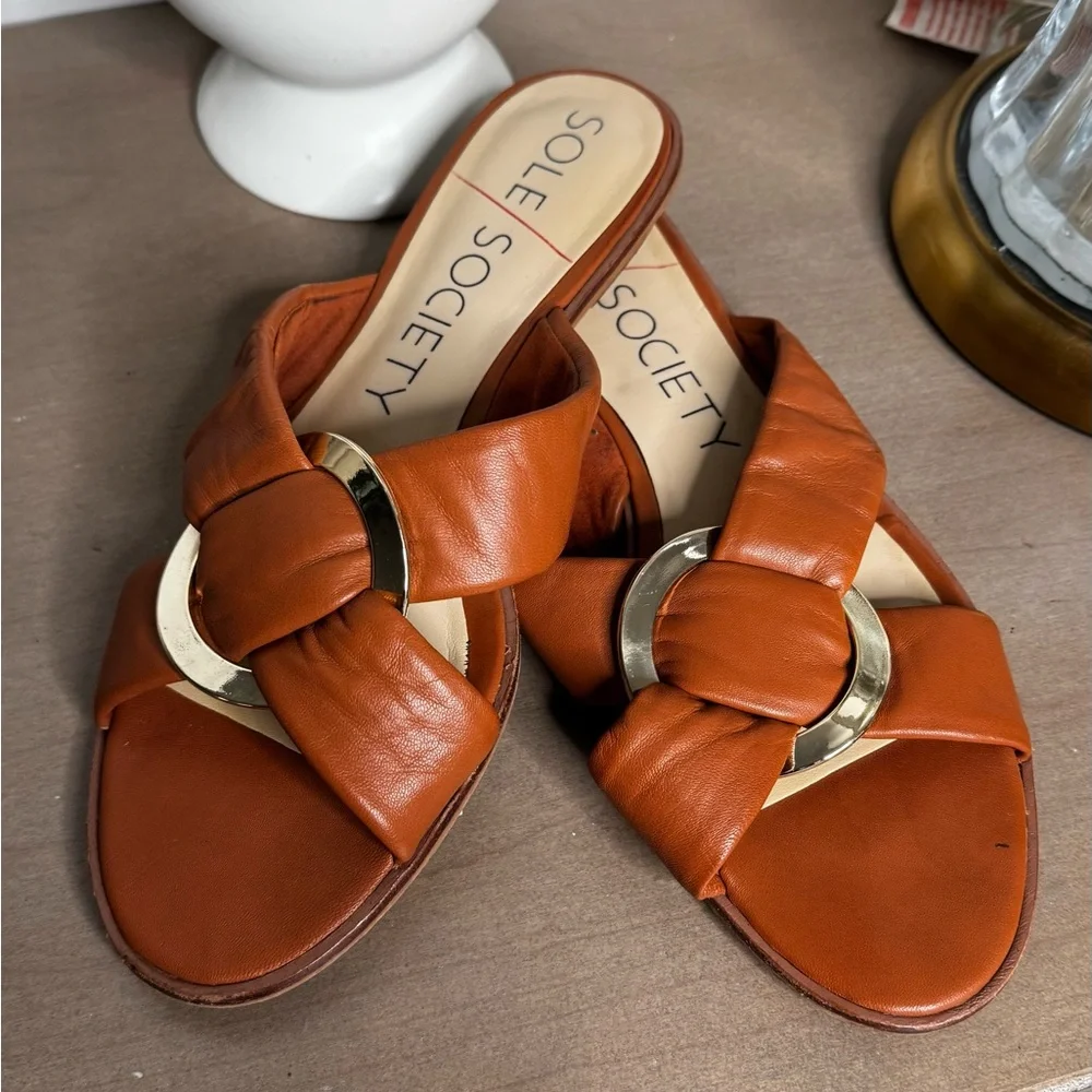 Sole Society Women's Brown Slide Sandals